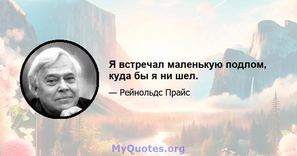 Я встречал маленькую подлом, куда бы я ни шел.