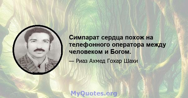 Симпарат сердца похож на телефонного оператора между человеком и Богом.