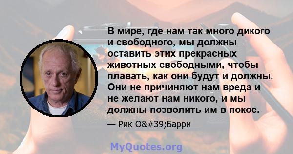 В мире, где нам так много дикого и свободного, мы должны оставить этих прекрасных животных свободными, чтобы плавать, как они будут и должны. Они не причиняют нам вреда и не желают нам никого, и мы должны позволить им в 