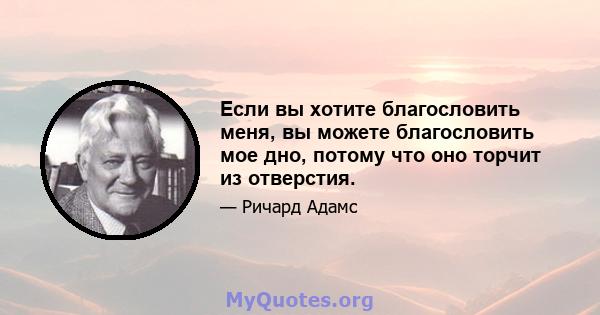 Если вы хотите благословить меня, вы можете благословить мое дно, потому что оно торчит из отверстия.