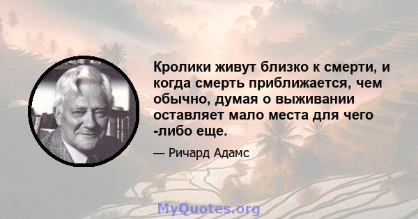 Кролики живут близко к смерти, и когда смерть приближается, чем обычно, думая о выживании оставляет мало места для чего -либо еще.