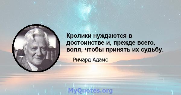 Кролики нуждаются в достоинстве и, прежде всего, воля, чтобы принять их судьбу.