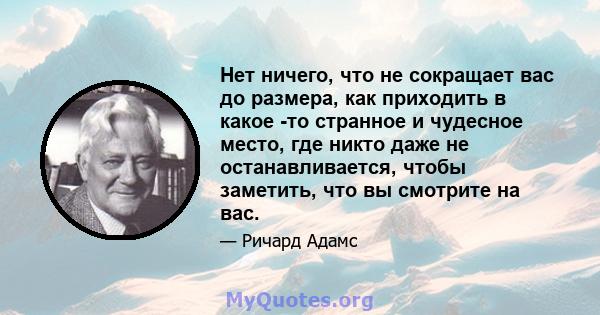 Нет ничего, что не сокращает вас до размера, как приходить в какое -то странное и чудесное место, где никто даже не останавливается, чтобы заметить, что вы смотрите на вас.