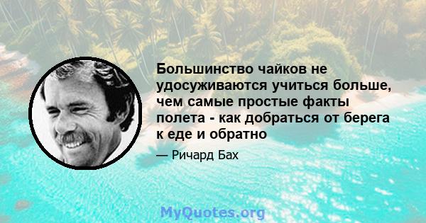 Большинство чайков не удосуживаются учиться больше, чем самые простые факты полета - как добраться от берега к еде и обратно