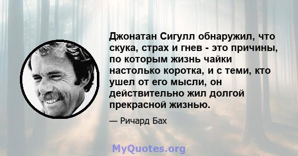 Джонатан Сигулл обнаружил, что скука, страх и гнев - это причины, по которым жизнь чайки настолько коротка, и с теми, кто ушел от его мысли, он действительно жил долгой прекрасной жизнью.