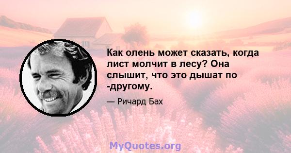 Как олень может сказать, когда лист молчит в лесу? Она слышит, что это дышат по -другому.