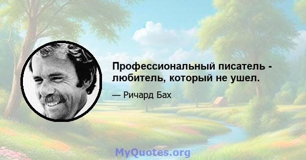 Профессиональный писатель - любитель, который не ушел.