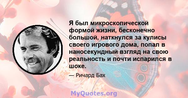 Я был микроскопической формой жизни, бесконечно большой, наткнулся за кулисы своего игрового дома, попал в наносекундный взгляд на свою реальность и почти испарился в шоке.