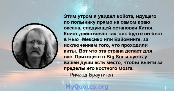 Этим утром я увидел койота, идущего по полынику прямо на самом краю океана, следующей остановки Китая. Койот действовал так, как будто он был в Нью -Мексико или Вайоминге, за исключением того, что проходили киты. Вот