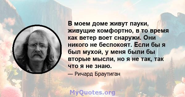 В моем доме живут пауки, живущие комфортно, в то время как ветер воет снаружи. Они никого не беспокоят. Если бы я был мухой, у меня были бы вторые мысли, но я не так, так что я не знаю.