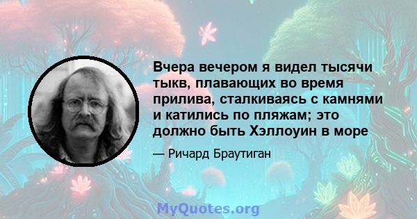 Вчера вечером я видел тысячи тыкв, плавающих во время прилива, сталкиваясь с камнями и катились по пляжам; это должно быть Хэллоуин в море