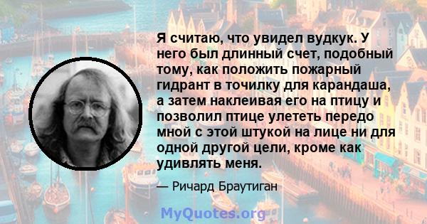 Я считаю, что увидел вудкук. У него был длинный счет, подобный тому, как положить пожарный гидрант в точилку для карандаша, а затем наклеивая его на птицу и позволил птице улететь передо мной с этой штукой на лице ни