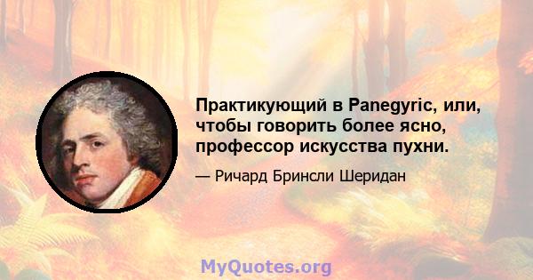 Практикующий в Panegyric, или, чтобы говорить более ясно, профессор искусства пухни.