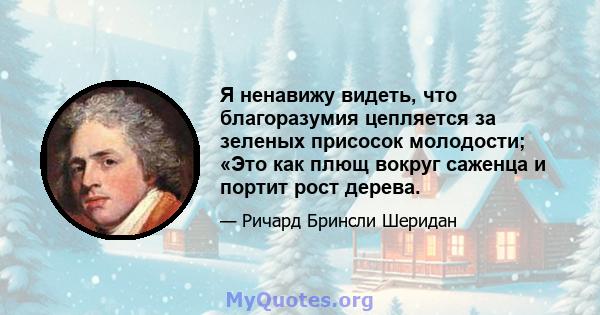 Я ненавижу видеть, что благоразумия цепляется за зеленых присосок молодости; «Это как плющ вокруг саженца и портит рост дерева.