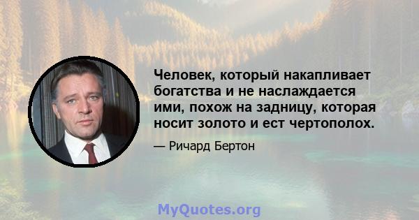 Человек, который накапливает богатства и не наслаждается ими, похож на задницу, которая носит золото и ест чертополох.