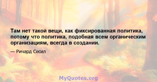 Там нет такой вещи, как фиксированная политика, потому что политика, подобная всем органическим организациям, всегда в создании.