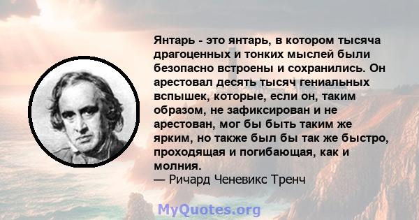 Янтарь - это янтарь, в котором тысяча драгоценных и тонких мыслей были безопасно встроены и сохранились. Он арестовал десять тысяч гениальных вспышек, которые, если он, таким образом, не зафиксирован и не арестован, мог 