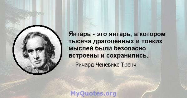 Янтарь - это янтарь, в котором тысяча драгоценных и тонких мыслей были безопасно встроены и сохранились.