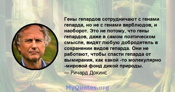 Гены гепардов сотрудничают с генами гепарда, но не с генами верблюдов, и наоборот. Это не потому, что гены гепардов, даже в самом поэтическом смысле, видят любую добродетель в сохранении видов гепарда. Они не работают,