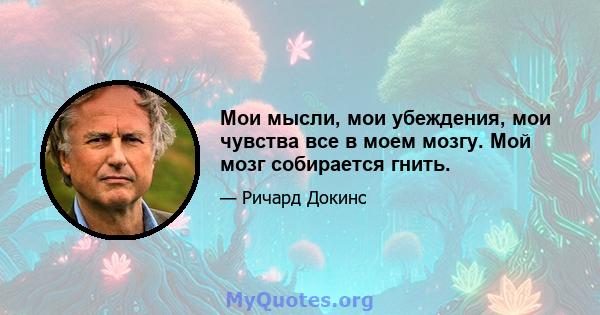 Мои мысли, мои убеждения, мои чувства все в моем мозгу. Мой мозг собирается гнить.