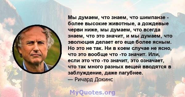 Мы думаем, что знаем, что шимпанзе - более высокие животные, а дождевые черви ниже, мы думаем, что всегда знаем, что это значит, и мы думаем, что эволюция делает его еще более ясным. Но это не так. Ни в коем случае не