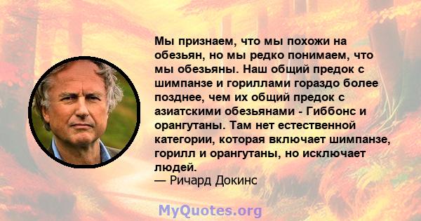 Мы признаем, что мы похожи на обезьян, но мы редко понимаем, что мы обезьяны. Наш общий предок с шимпанзе и гориллами гораздо более позднее, чем их общий предок с азиатскими обезьянами - Гиббонс и орангутаны. Там нет