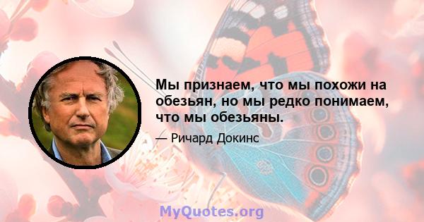 Мы признаем, что мы похожи на обезьян, но мы редко понимаем, что мы обезьяны.