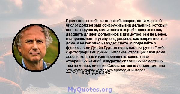 Представьте себе заголовки баннеров, если морской биолог должен был обнаружить вид дельфина, который сплетал крупные, замысловатые рыболовные сетки, двадцать длиной дольфинов в диаметре! Тем не менее, мы принимаем