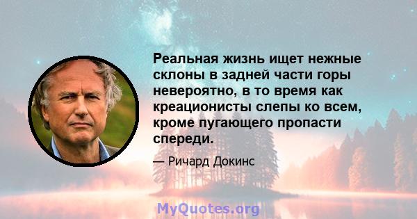 Реальная жизнь ищет нежные склоны в задней части горы невероятно, в то время как креационисты слепы ко всем, кроме пугающего пропасти спереди.