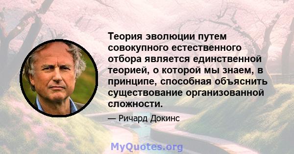 Теория эволюции путем совокупного естественного отбора является единственной теорией, о которой мы знаем, в принципе, способная объяснить существование организованной сложности.