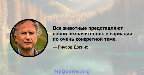 Все животные представляют собой незначительные вариации по очень конкретной теме.