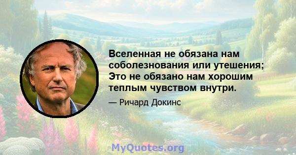 Вселенная не обязана нам соболезнования или утешения; Это не обязано нам хорошим теплым чувством внутри.