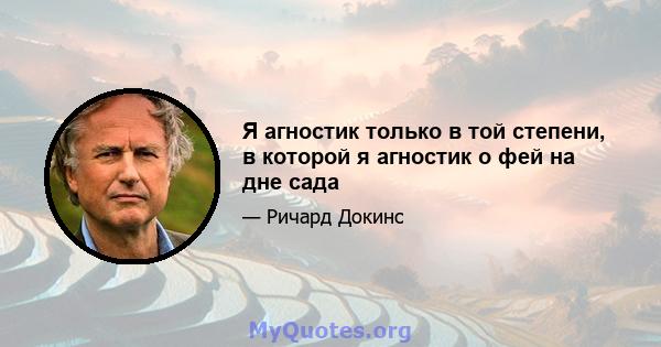 Я агностик только в той степени, в которой я агностик о фей на дне сада