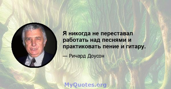 Я никогда не переставал работать над песнями и практиковать пение и гитару.