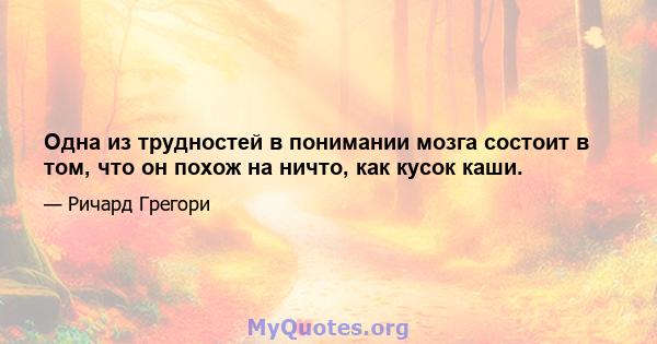 Одна из трудностей в понимании мозга состоит в том, что он похож на ничто, как кусок каши.