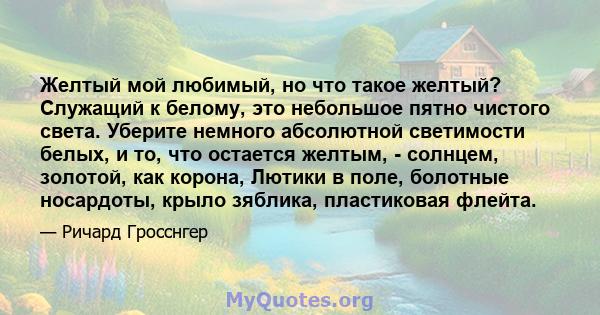 Желтый мой любимый, но что такое желтый? Служащий к белому, это небольшое пятно чистого света. Уберите немного абсолютной светимости белых, и то, что остается желтым, - солнцем, золотой, как корона, Лютики в поле,