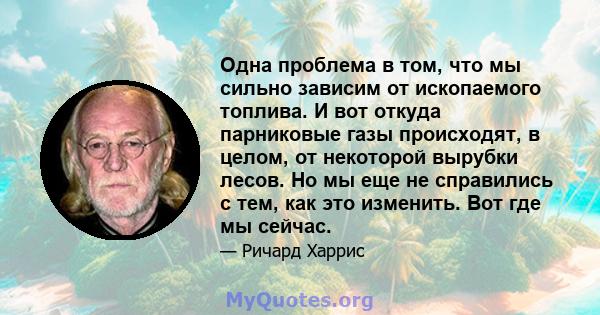 Одна проблема в том, что мы сильно зависим от ископаемого топлива. И вот откуда парниковые газы происходят, в целом, от некоторой вырубки лесов. Но мы еще не справились с тем, как это изменить. Вот где мы сейчас.