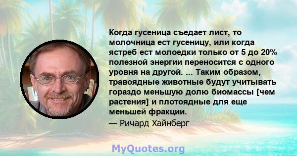 Когда гусеница съедает лист, то молочница ест гусеницу, или когда ястреб ест молоедки только от 5 до 20% полезной энергии переносится с одного уровня на другой. ... Таким образом, травоядные животные будут учитывать