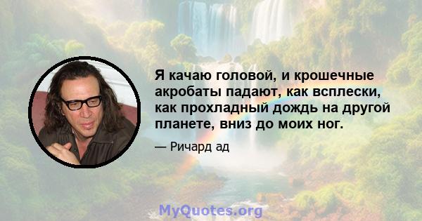 Я качаю головой, и крошечные акробаты падают, как всплески, как прохладный дождь на другой планете, вниз до моих ног.