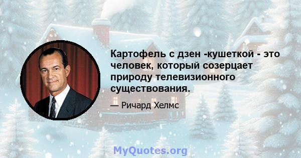 Картофель с дзен -кушеткой - это человек, который созерцает природу телевизионного существования.