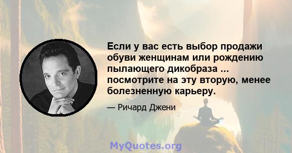 Если у вас есть выбор продажи обуви женщинам или рождению пылающего дикобраза ... посмотрите на эту вторую, менее болезненную карьеру.