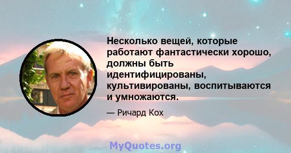 Несколько вещей, которые работают фантастически хорошо, должны быть идентифицированы, культивированы, воспитываются и умножаются.