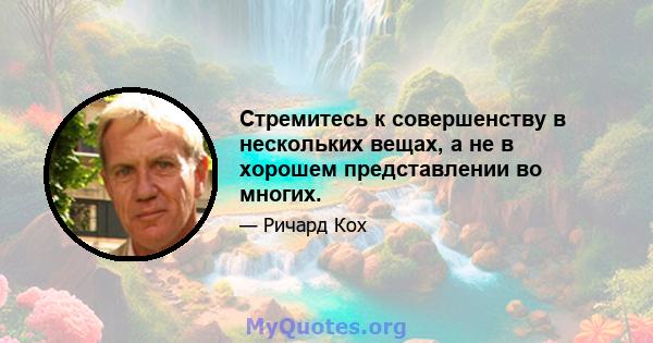 Стремитесь к совершенству в нескольких вещах, а не в хорошем представлении во многих.