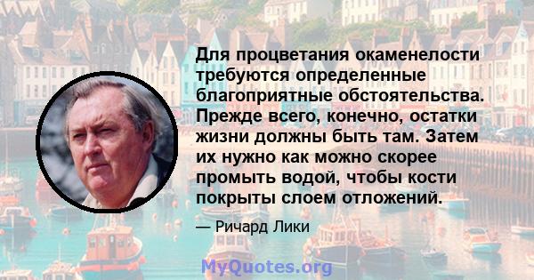 Для процветания окаменелости требуются определенные благоприятные обстоятельства. Прежде всего, конечно, остатки жизни должны быть там. Затем их нужно как можно скорее промыть водой, чтобы кости покрыты слоем отложений.