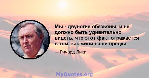 Мы - двуногие обезьяны, и не должно быть удивительно видеть, что этот факт отражается в том, как жили наши предки.