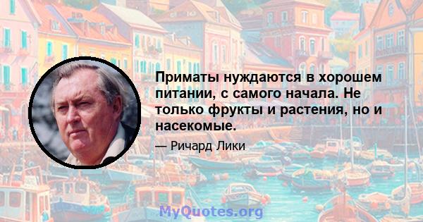 Приматы нуждаются в хорошем питании, с самого начала. Не только фрукты и растения, но и насекомые.