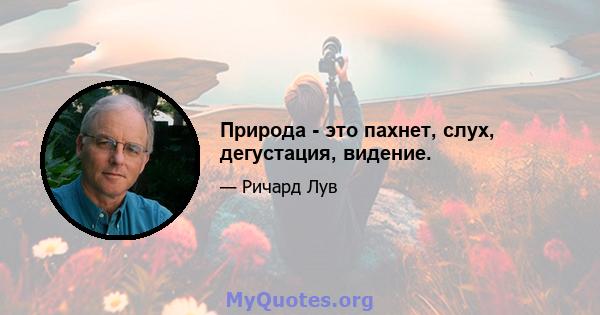 Природа - это пахнет, слух, дегустация, видение.