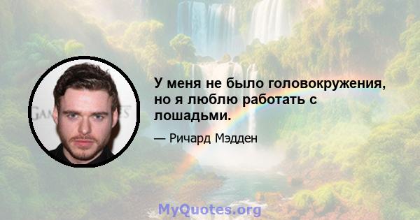 У меня не было головокружения, но я люблю работать с лошадьми.