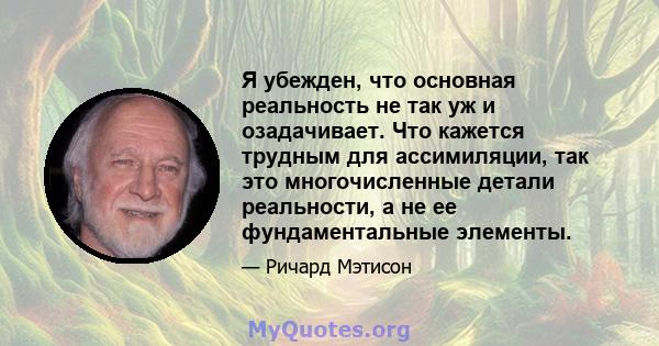 Я убежден, что основная реальность не так уж и озадачивает. Что кажется трудным для ассимиляции, так это многочисленные детали реальности, а не ее фундаментальные элементы.