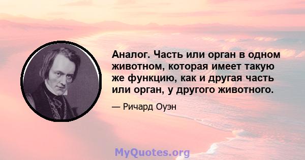 Аналог. Часть или орган в одном животном, которая имеет такую ​​же функцию, как и другая часть или орган, у другого животного.